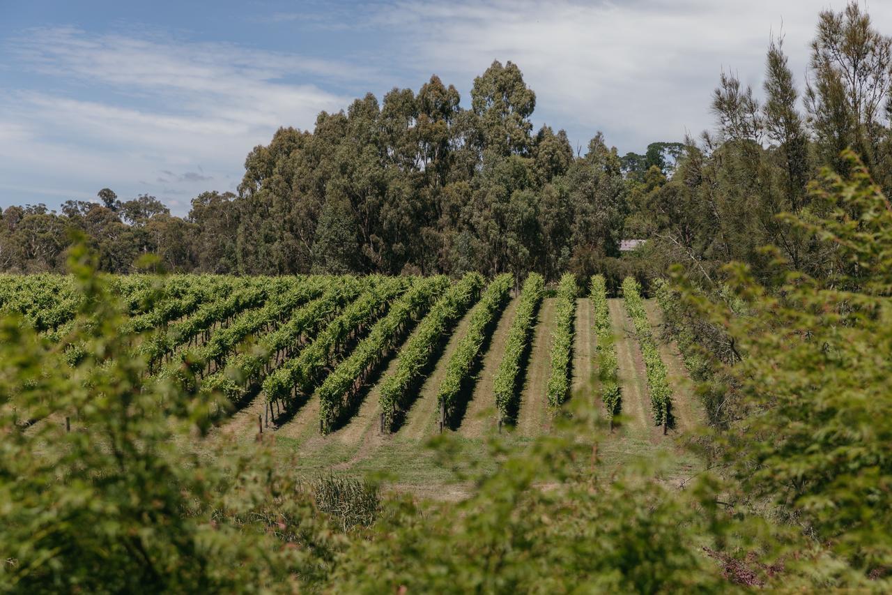 Seville Estate Εξωτερικό φωτογραφία